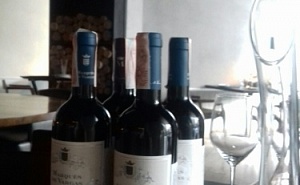     Grupo Vinicola Marques de Vargas.